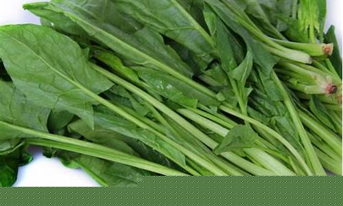 菠菜担保评级网址：菠菜信息大全(菠菜信息