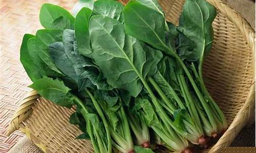 线上菠菜注册(2023菠菜注册平台)