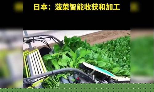 菠菜送彩金：菠菜信息技术(深圳菠菜信息技