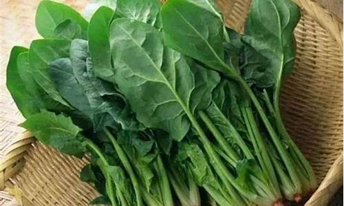 菠菜评级：线上菠菜直营(线上菠菜技巧) 