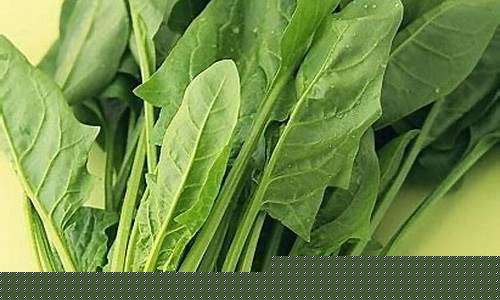 线上菠菜开户：菠菜公司网址(菠菜公司排行