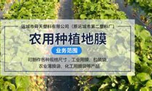 专业菠菜导航官方网站 (11)