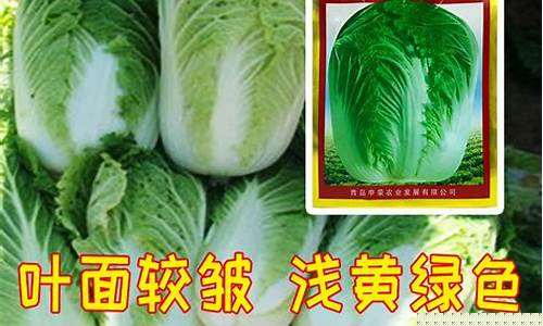 新2会员手机版足球网址：免费cp白菜官方