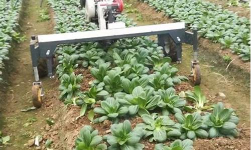 白菜评级网：在线注册菠菜公司网(菠菜公司
